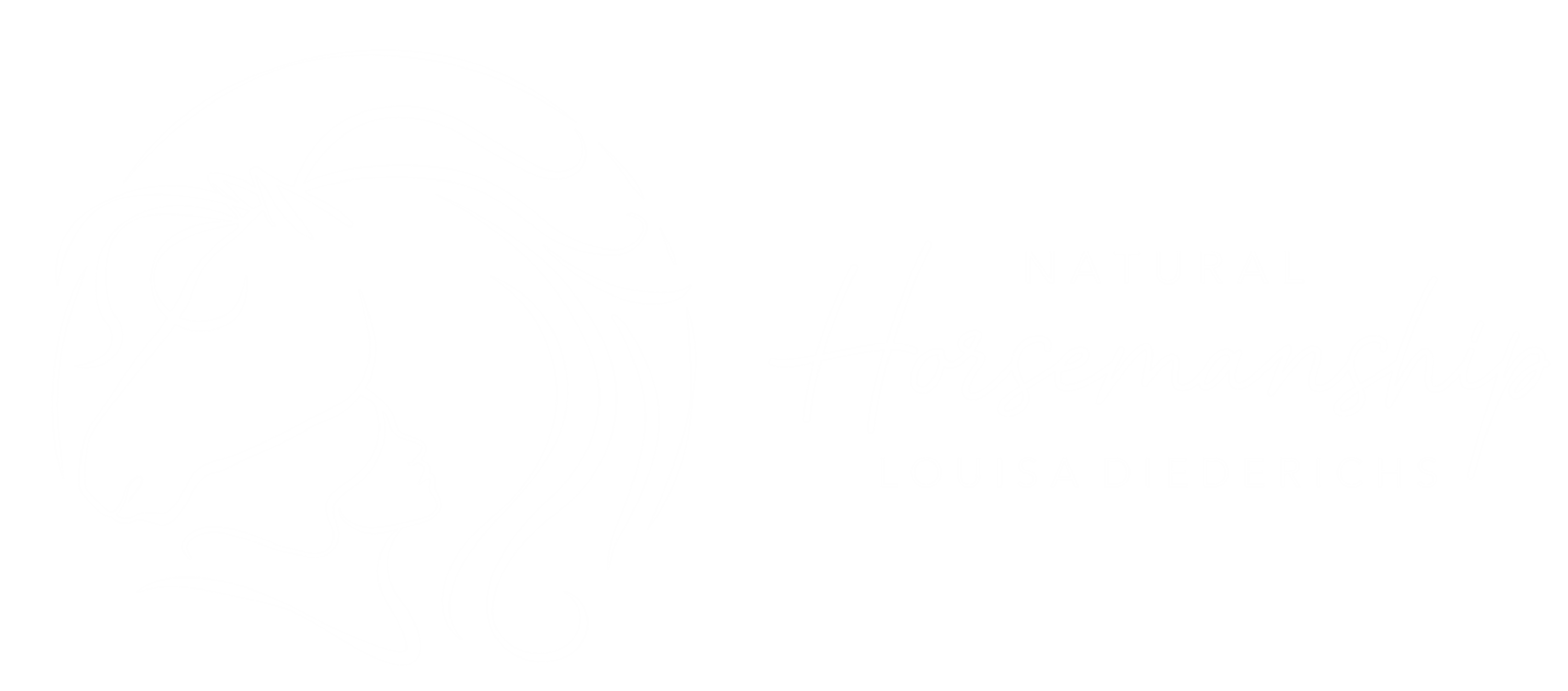 Louisa Diederichs Logo